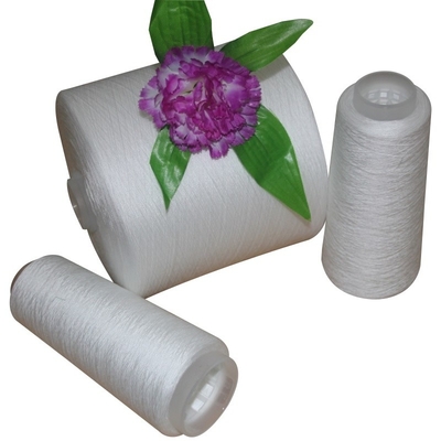 20/3 30/2 40/2 100% Vòng đan polyester thô màu trắng polyester xoắn