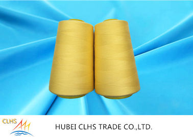 Chủ đề may nhiều màu trắng / màu 100% Polyester cho may