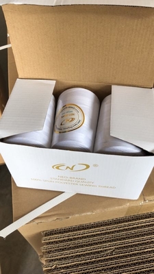 Địa điểm của nhà máy 100% Polyester Dây may đa màu 40/2 3000Yards/Cone