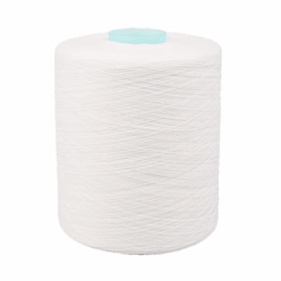 Màu trắng thô 20/2 40/2 100% Polyester Ring Spun Yarn Dây may