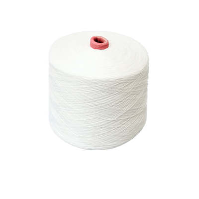 30s 30/2, 30/3 100% Polyester Ring Spun Yarn Polyester Dệt dệt