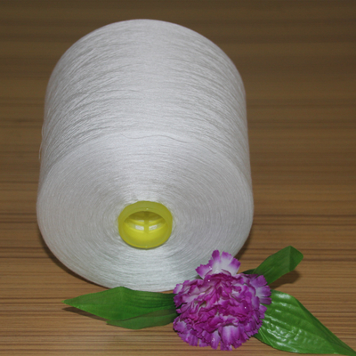 40/2 Nhãn hiệu cao độ bền polyester Spun Yarn AAA