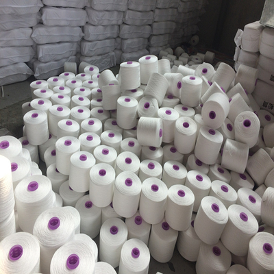 Sợi cao 20/3 100% polyester đan cho sợi polyester