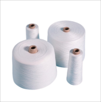 30s 30/2, 30/3 100% Polyester Ring Spun Yarn Polyester Dệt dệt