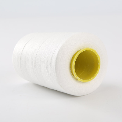 Nhập xưởng 40/2 Sợi thêu sơn sợi sơn 100% polyester
