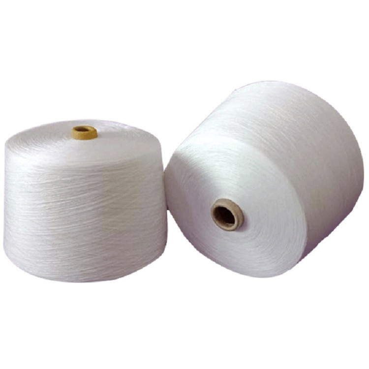 20/2 30/2 40/2 100% Sợi Polyester Lõi Trắng Mộc Dệt Kim May Sợi