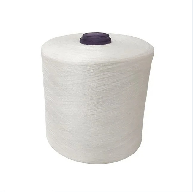 30/2 30/3 100% Polyester Spun Yarn, Polyester Lưới may trắng, Màu sắc